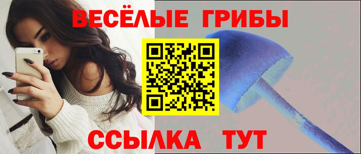 Лыткарино  Галлюциногенные грибы Magic Shrooms  Вход с VPN 